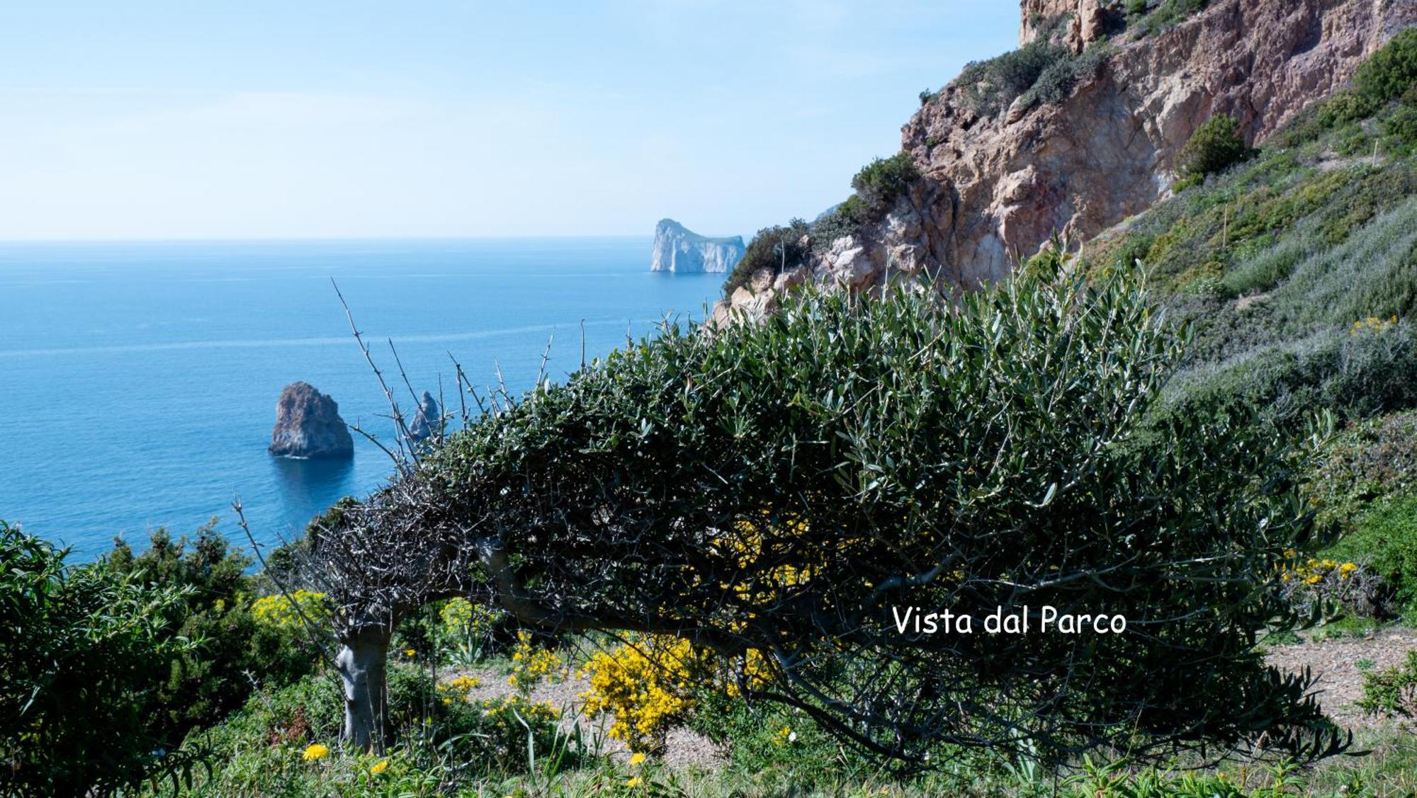 Villa Il Sogno Tanca Piras Nebida Exterior foto